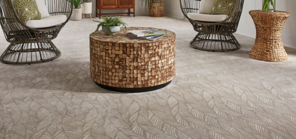 Carpet and Area Rugs