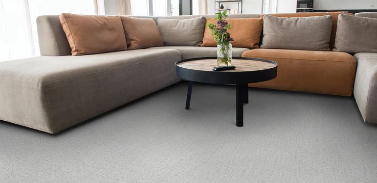 Carpet and Area Rugs